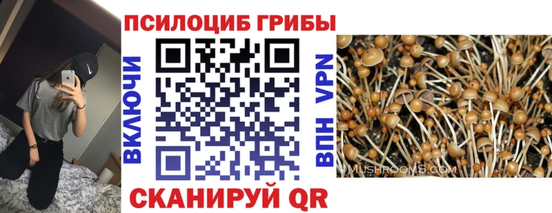 Галлюциногенные грибы ЛСД  Туапсе 
